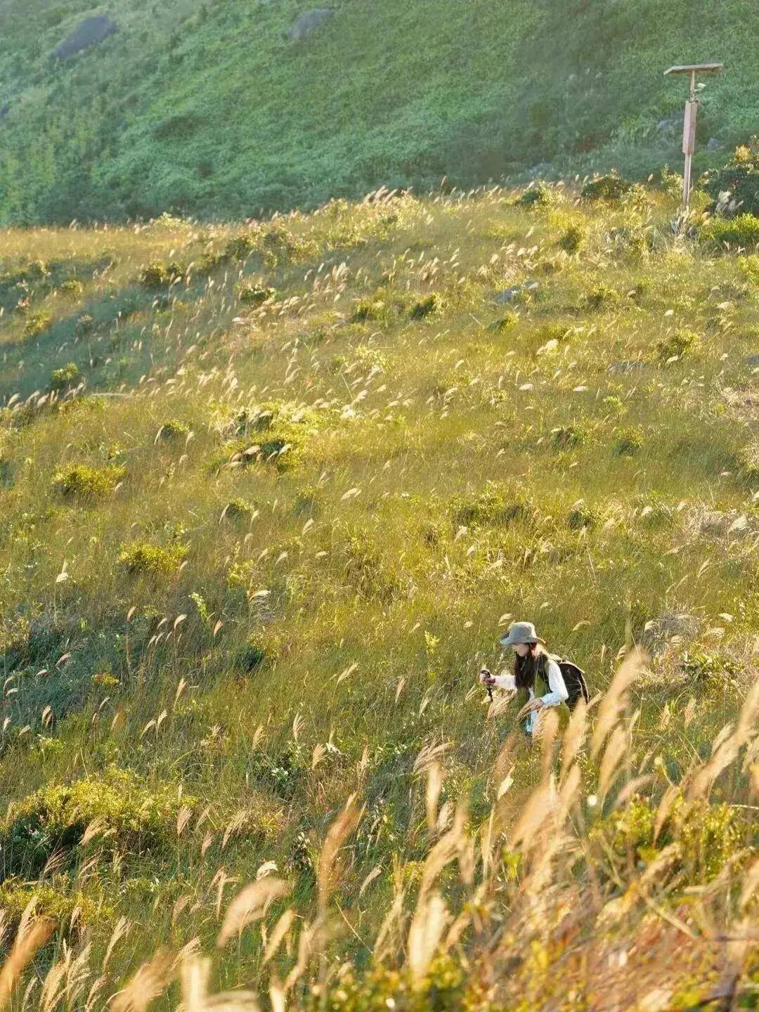 【大南山】11.13丨广东“小武功山”，大南山精华段穿越，邂逅最美云中草原