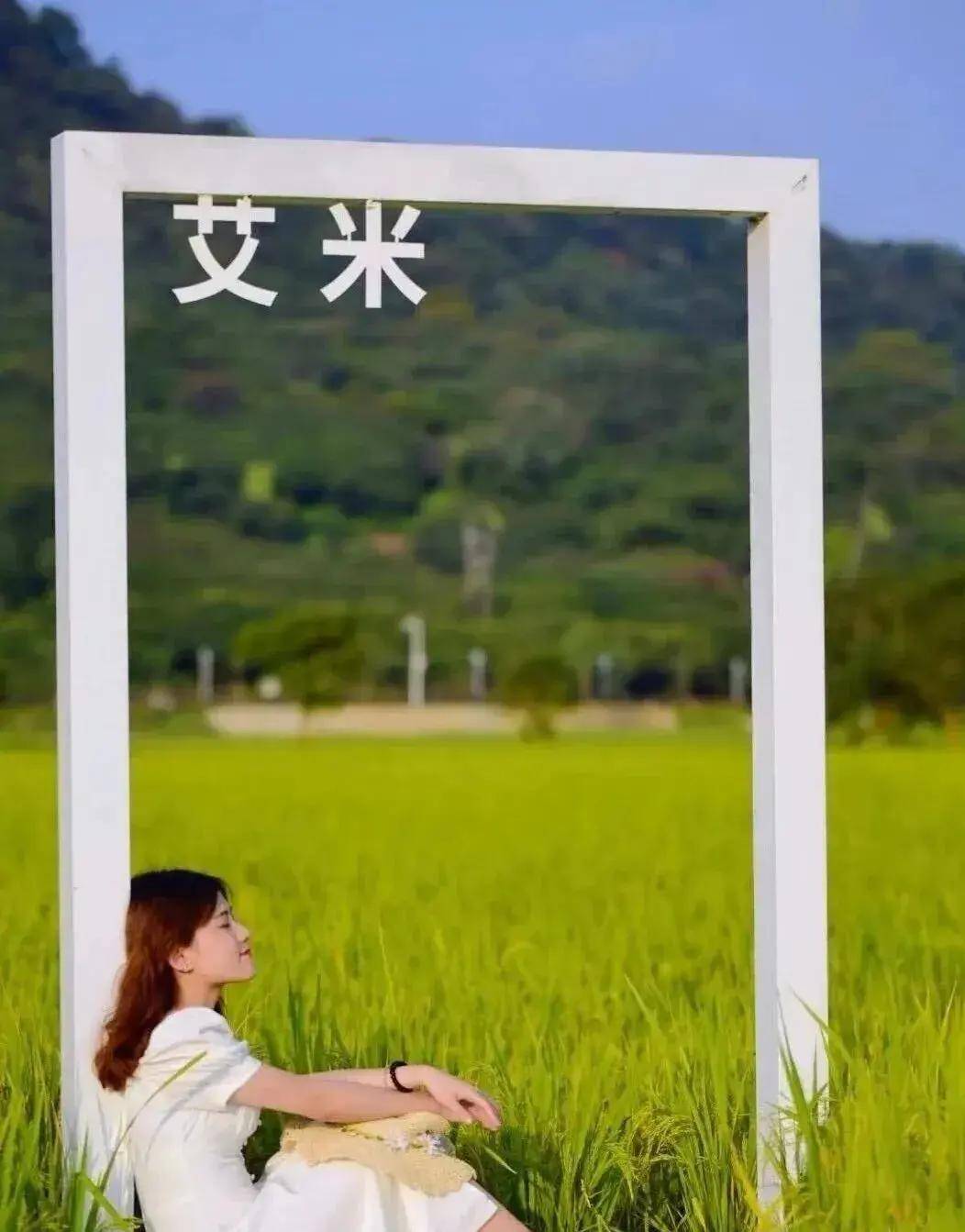 【广州三大秋色】11月15日丨上罗千亩柿子海+艾米稻香小镇+罗洞工匠小镇