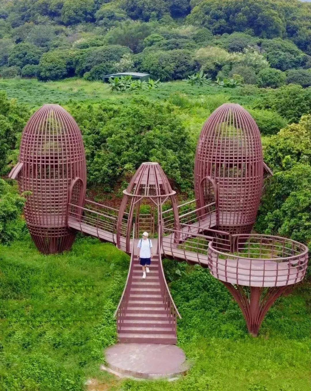 【广州三大秋色】11月15日丨上罗千亩柿子海+艾米稻香小镇+罗洞工匠小镇