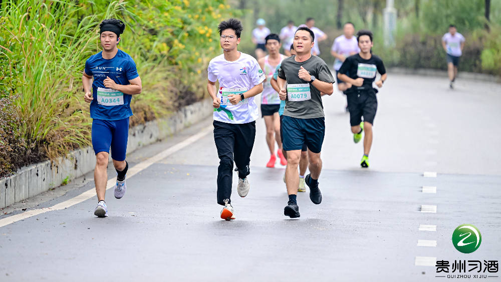 山水画廊间、奔跑品习酒| 2025“金钻习酒”美丽中国·全民健身跑(广西·桂林站)漓江畔活力开跑第5张-桂林新闻网 山水画廊间、奔跑品习酒| 2025“金钻习酒”美丽中国·全民健身跑(广西·桂林站)漓江畔活力开跑第5张