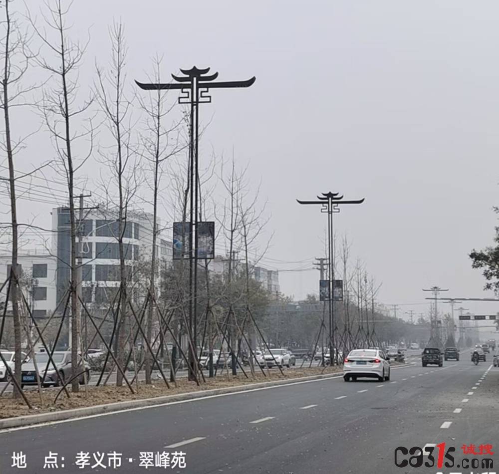 山西孝义一路灯项目涉嫌“未招先建” 财政投资项目引人投诉(图3)