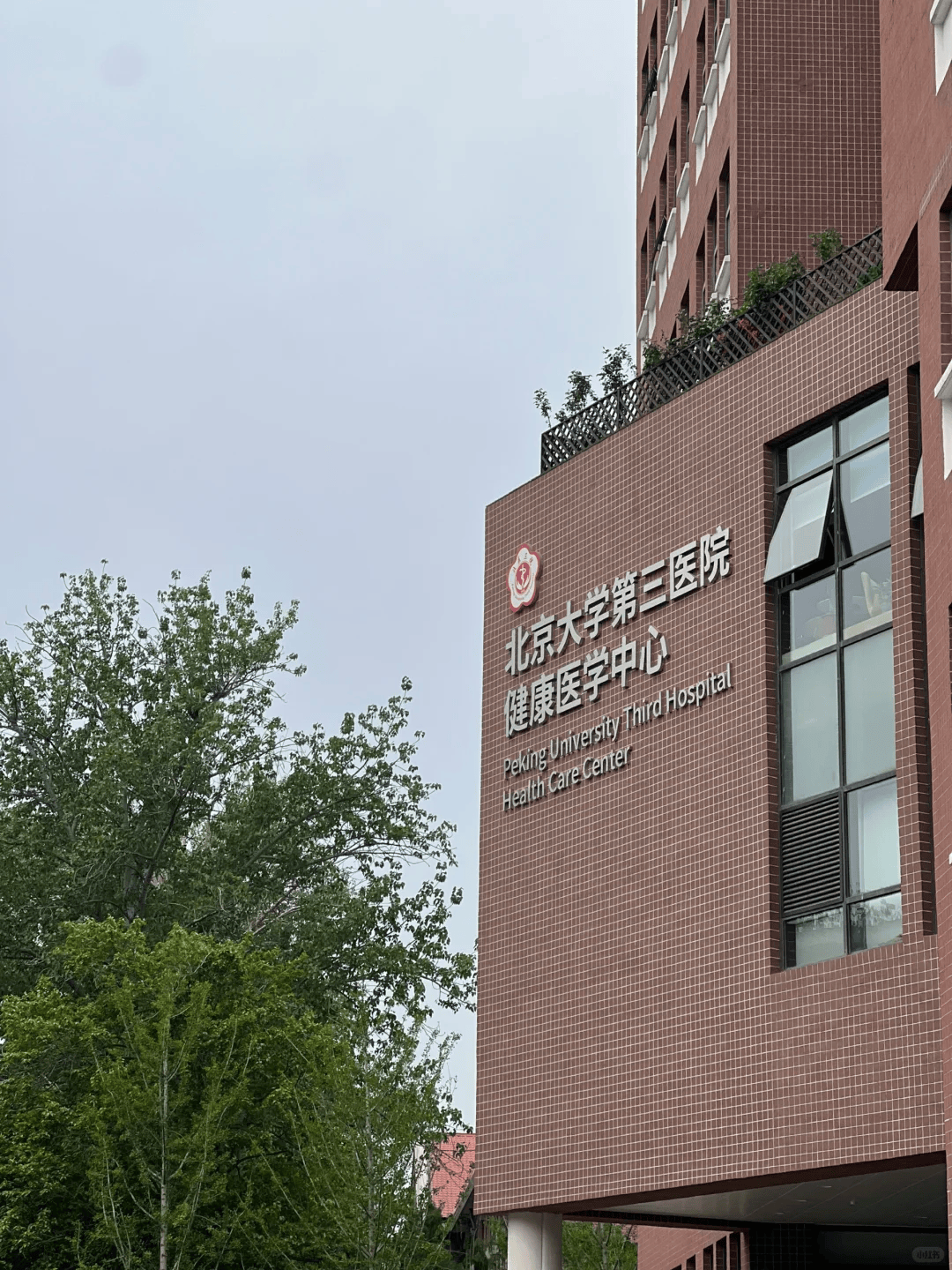 首都医科大学附属儿童医院陪诊团队黄牛挂号方便快捷的简单介绍 首都医科大学附属儿童医院陪诊团队黄牛挂号方便快捷的简单介绍