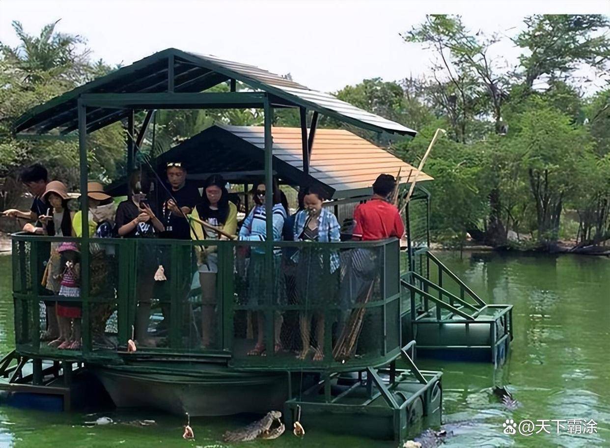 图片[4]-泰国跟团游开始了，千万别再被忽悠踏进“屠宰产业链” -华闻时空