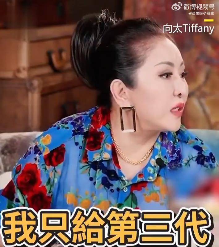 向太陈岚自曝想改遗嘱，将家族资产直接留给第三代孙辈 插图1