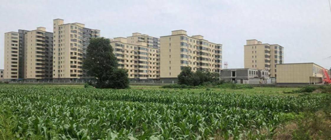 河北定州"康养项目"变"商品房":农耕地里建起511套小产权房(图1)