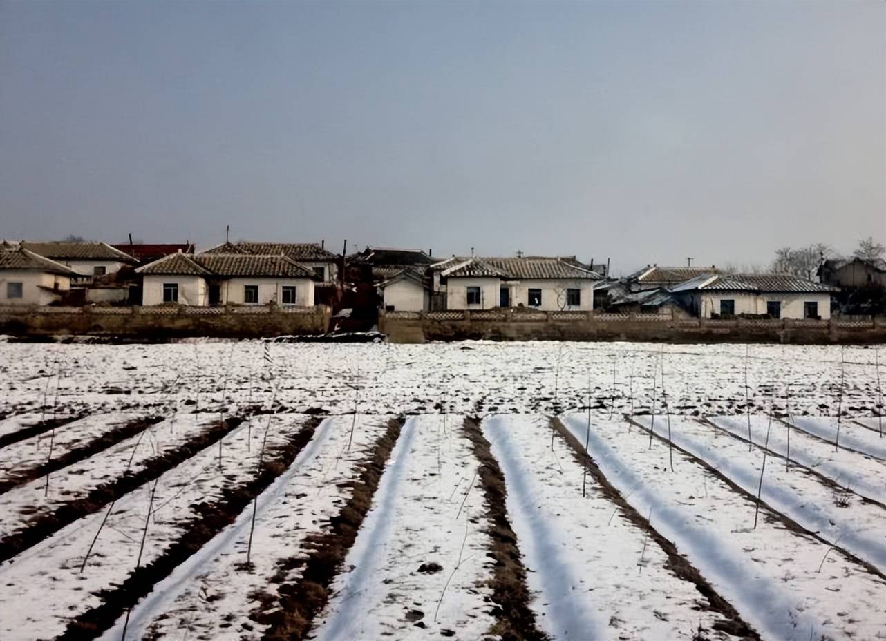朝鲜农村的百姓过着什么样的日子?生活水平不高,但民生淳朴