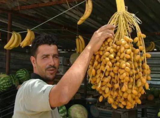 图片[3]-它是迪拜土豪最爱吃的水果，是财富的象征，到了中国却不受欢迎！-华闻时空