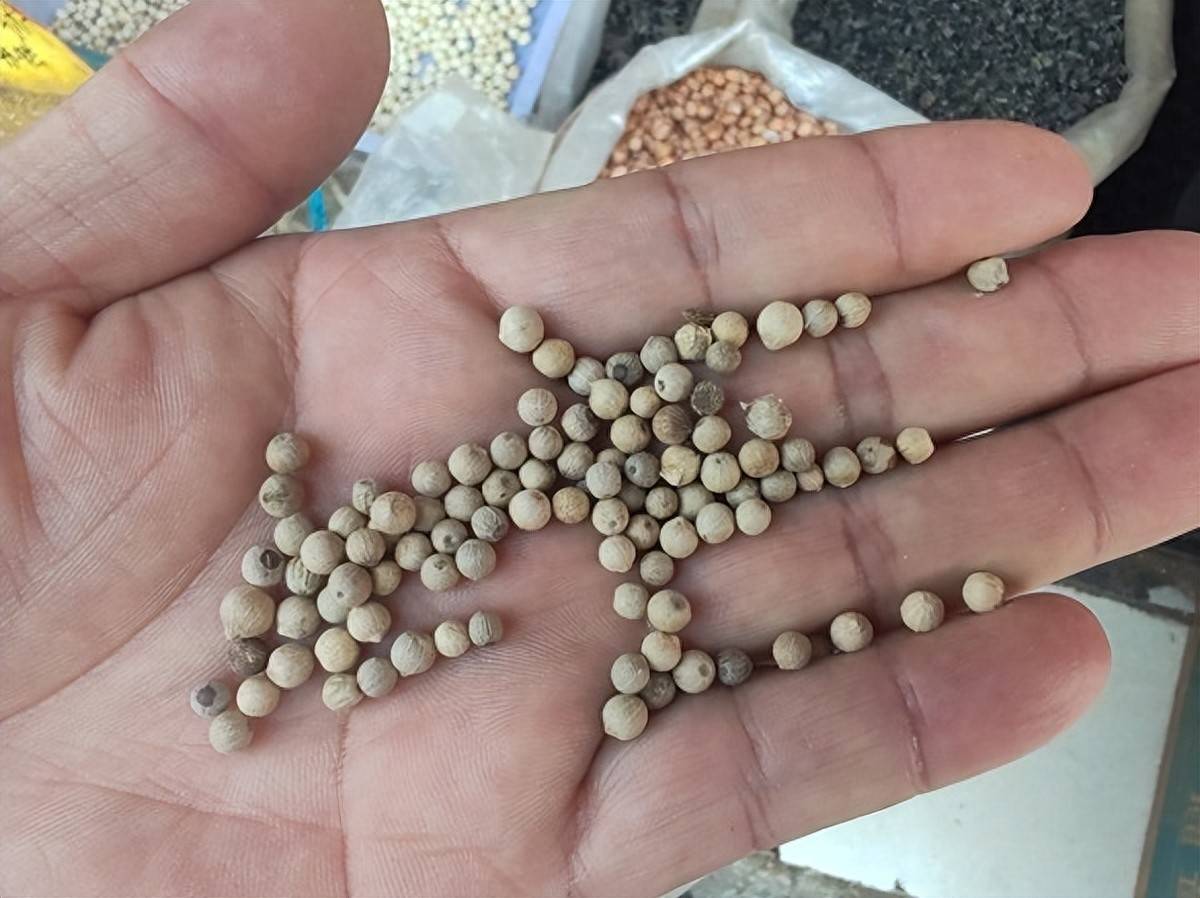 低价白胡椒粉乱象调查:面疙瘩充颗粒、添加不足5% 触目惊心(图1)