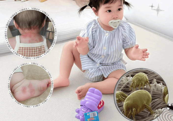 除螨仪哪个品牌最好最合适？一文带你了解除螨仪前十名排行榜！