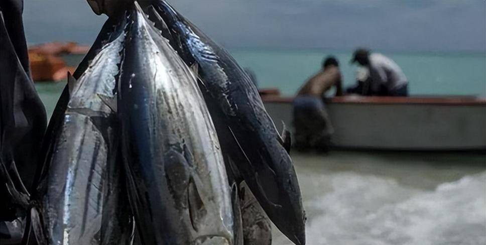 图片[2]-世界上最可怜的国家：整个国家只有两辆公交车，本地人吃菜都奢侈 -华闻时空