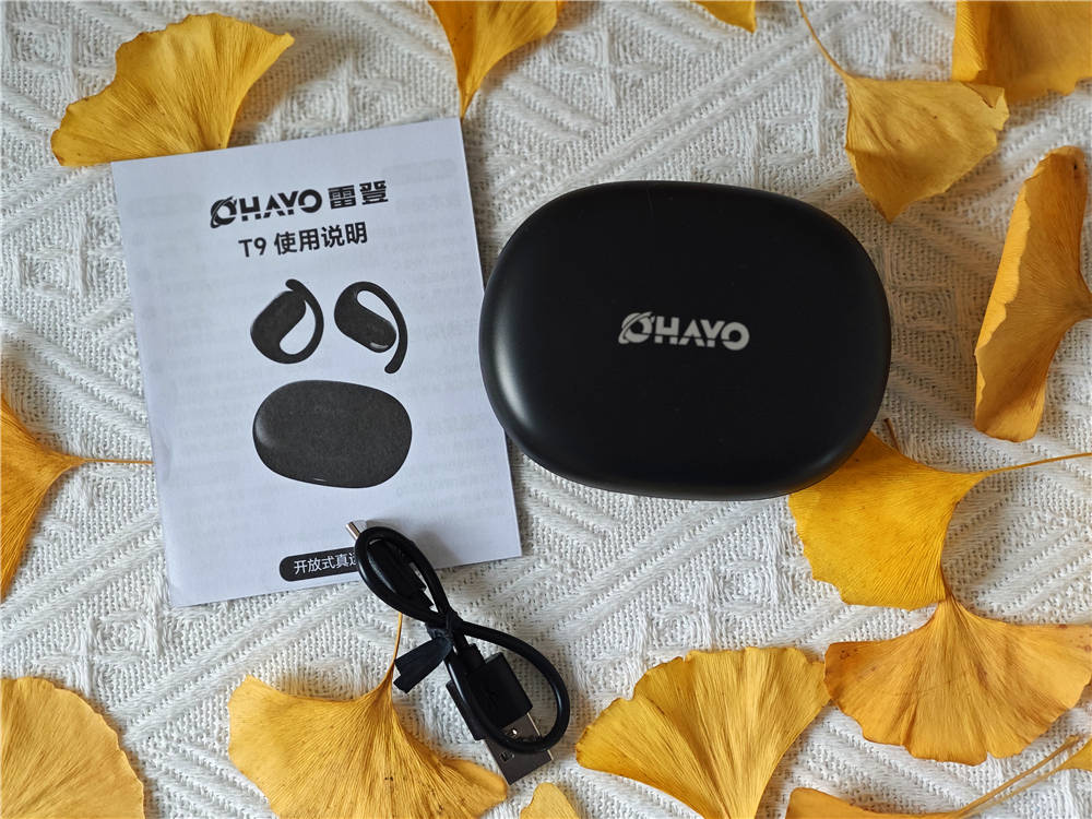 低音澎湃、无感佩戴、超长续航,雷登T9值得拥有