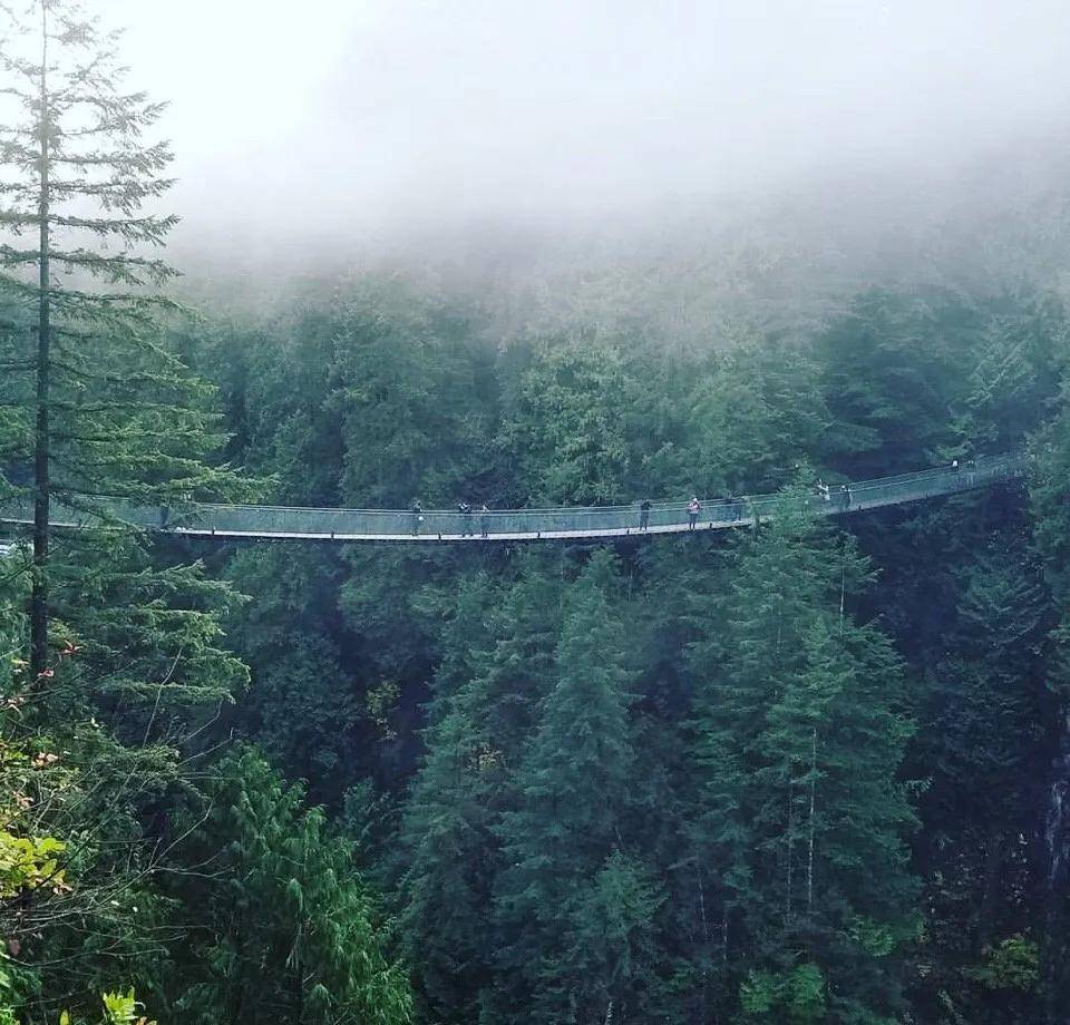 BC 省公校 TOP5！AQG开启北温黄金学区专属通道，无缝衔接北美精英教育