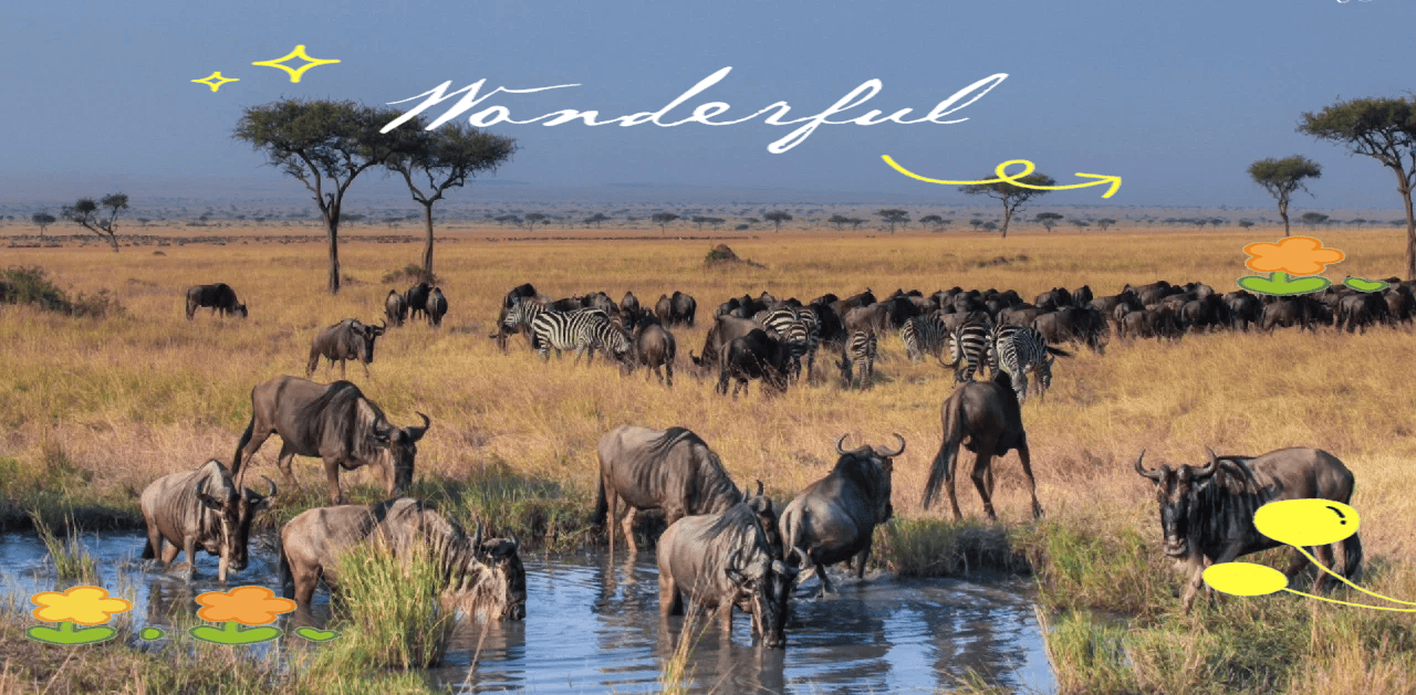 坦桑尼亚塞伦盖蒂的动物大迁徙：在非洲草原上，百万动物的壮观迁徙