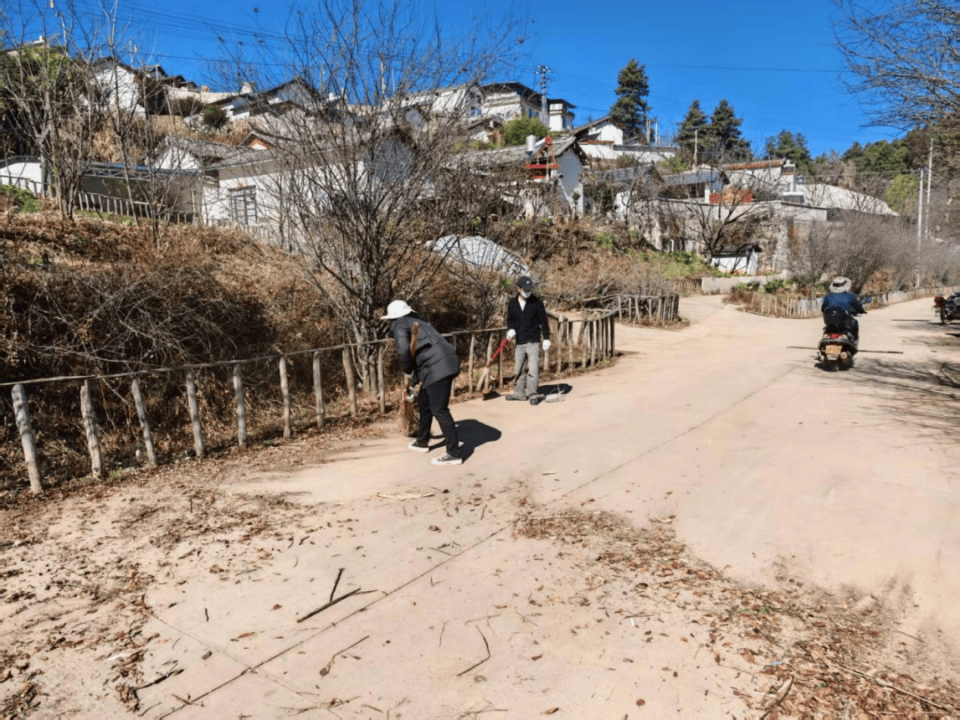 隆阳区水寨乡海棠洼村:党群同心清道路 人居环境焕新颜