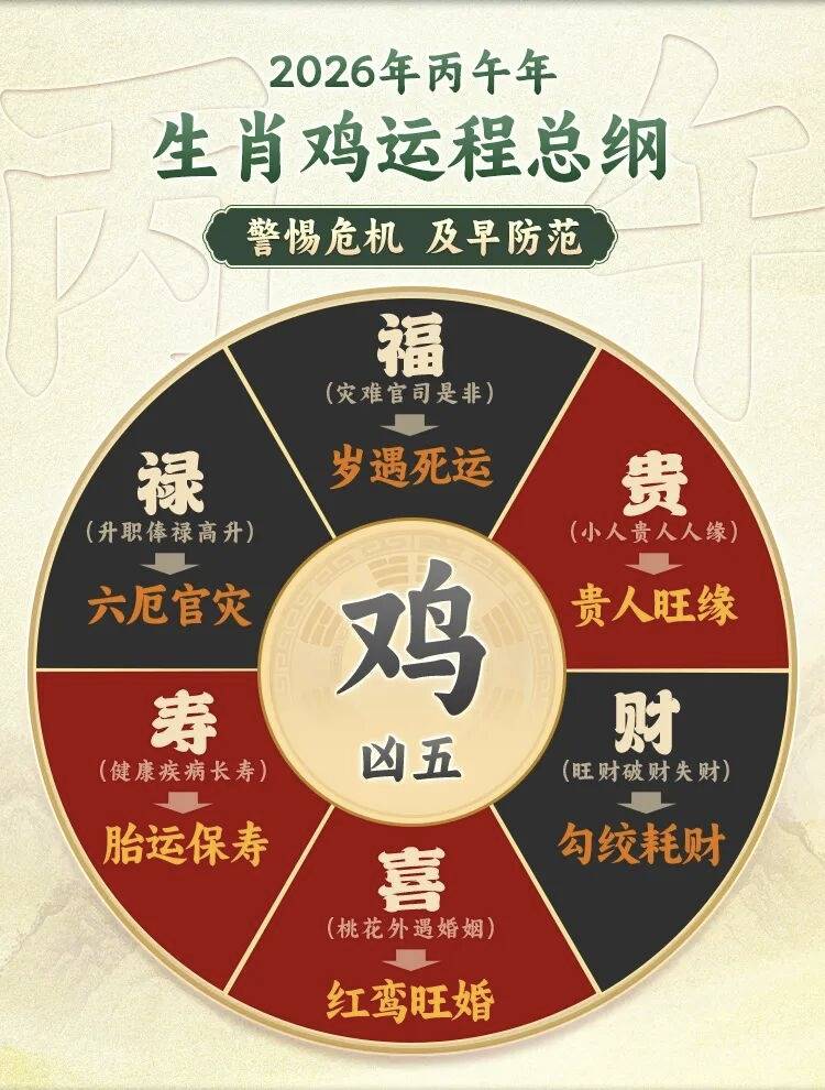 官家生肖运势怎么样啊(官家生肖运势怎么样啊视频)