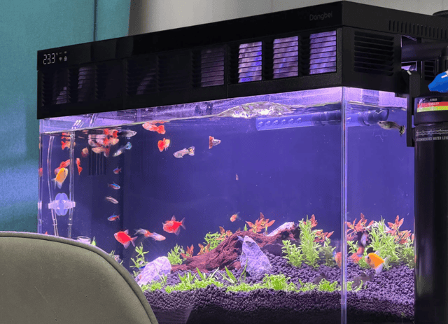 2025京东鱼缸热销数据发布:这10个家庭水族品牌口碑最好