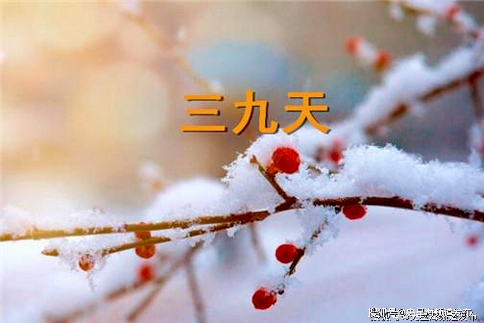 今日三九:风起三九,心向暖处_晶柱_数九寒天_鸟雀