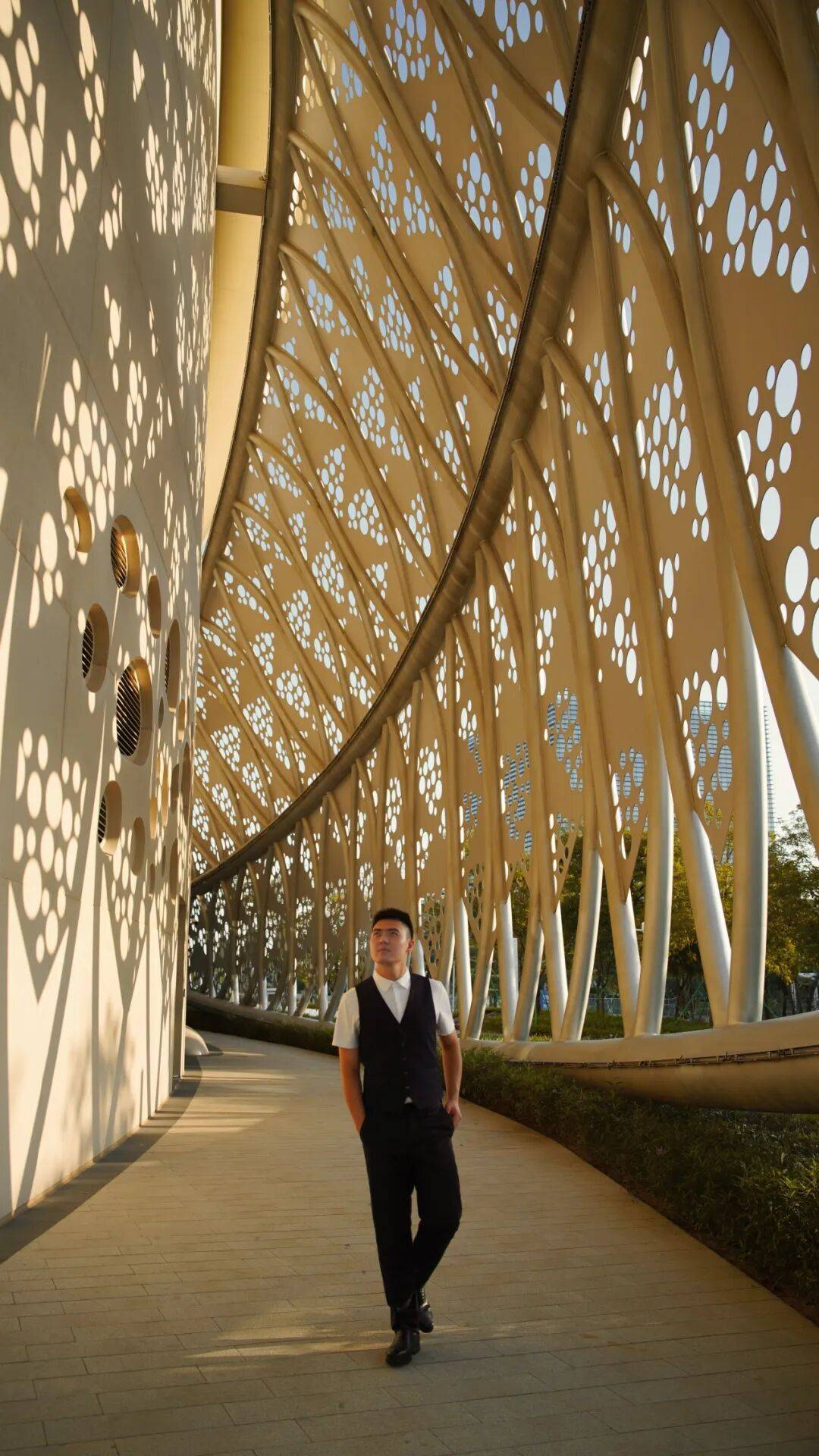  横琴3.6万㎡“莲花觅境”夜景闪亮登场！(图5)