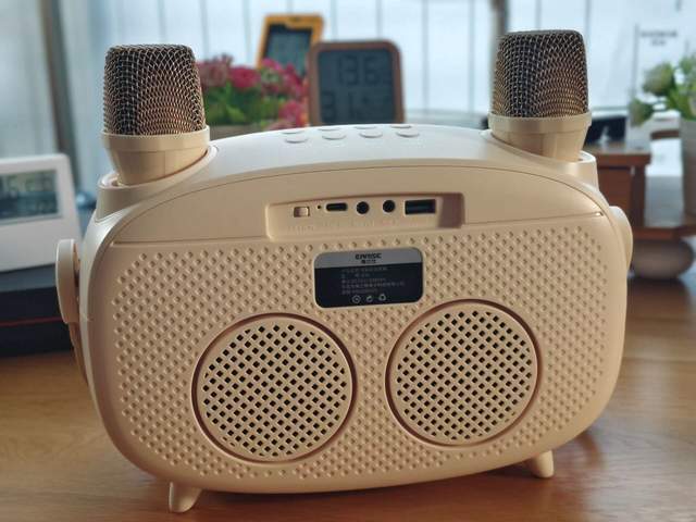 雅兰仕K31K歌提词音箱，户外家庭聚会，K歌两不误