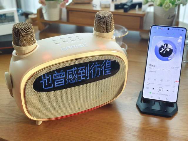 雅兰仕K31K歌提词音箱，户外家庭聚会，K歌两不误