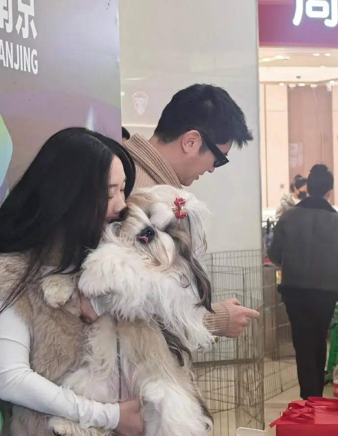 杜江夫妇带宠物狗参加犬展 霍思燕穿皮草贵气十足