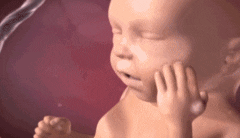 胎儿在肚子里会不会无聊？其实不然......