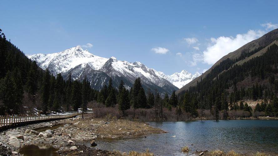 关爱家人，从关注小脑萎缩开始