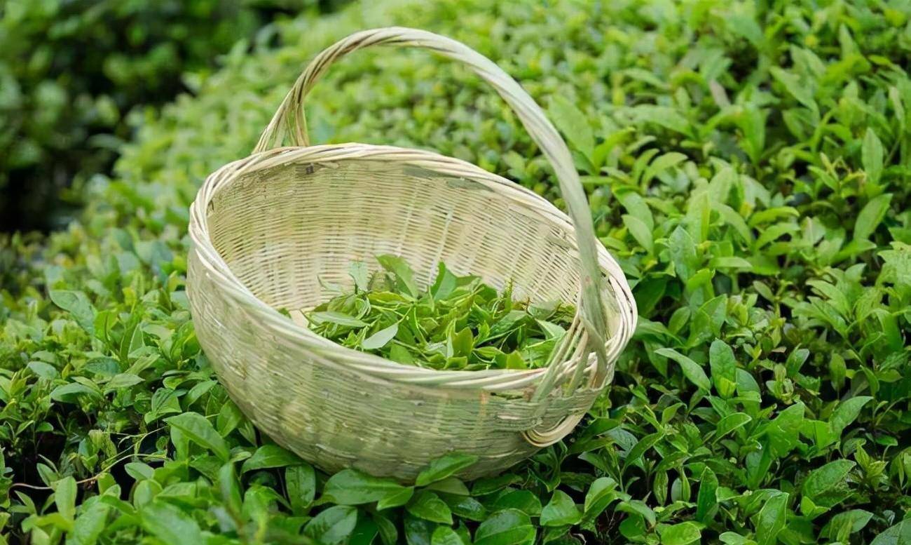 原创            阿拉伯半岛饮料简史：从酒到咖啡，再到茶