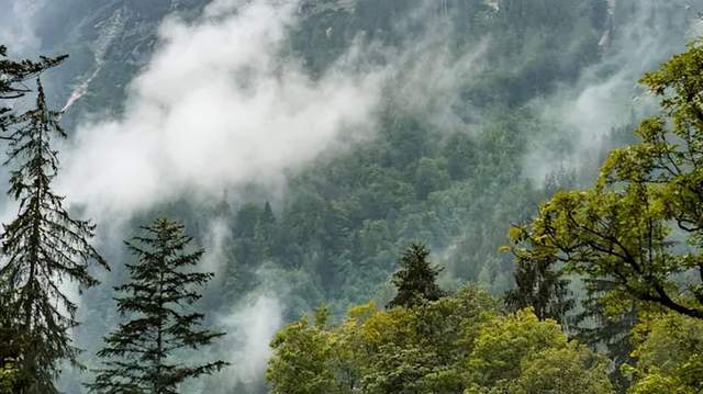 音浪涌动，邀君徜徉艺术殿堂