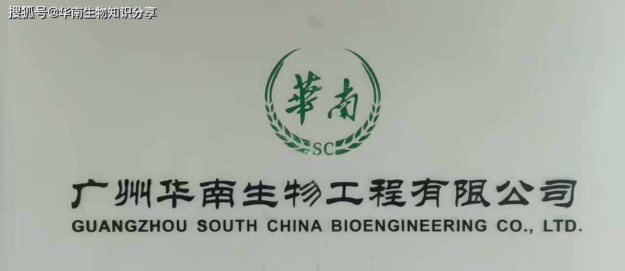 新型冠状病毒（2019-nCoV)核酸快速检测试剂盒