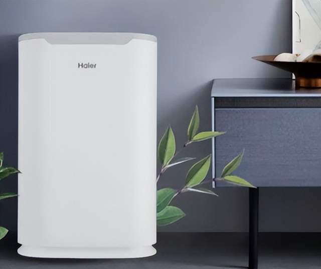 2026春节走亲戚有什么体面的礼物推荐？十款比较稳的礼物清单分享