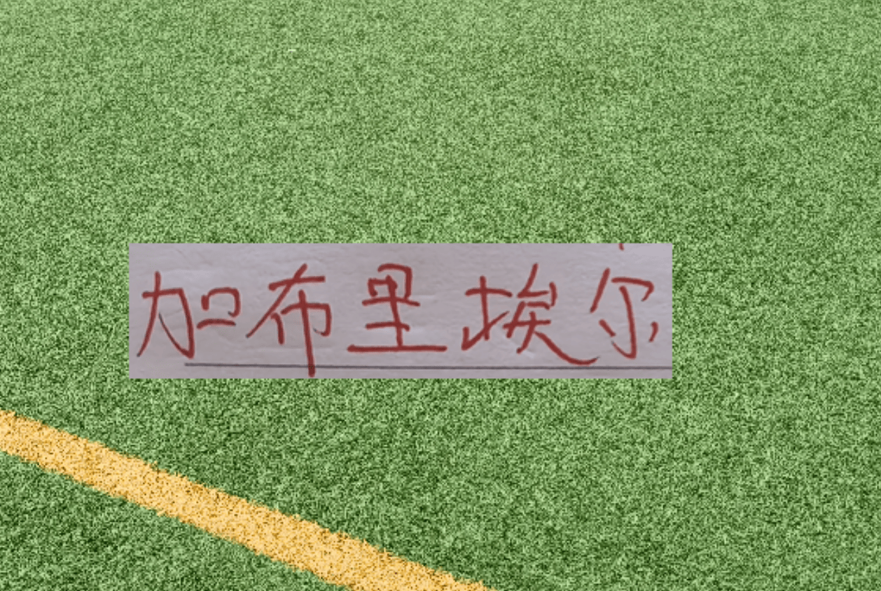 海港三大锋线主力！莱昂跟武磊还在养伤状态 加布里能亚冠突围吗