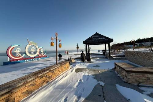 跨越千里的呼吸守护：一场风雪中的生命接力