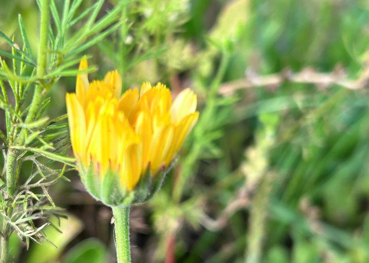 原创            男人真心和你过日子，才会有这2种变化，装不出来