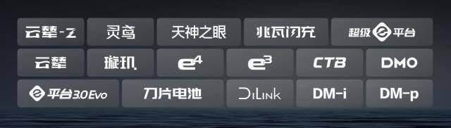 比亚迪30.55%复购率一骑绝尘，揭秘存量市场增长密码