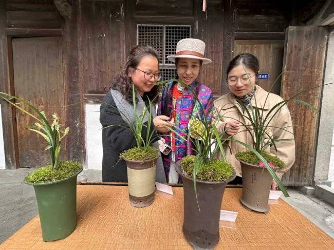 幽兰入心 岁月留香(图7) 幽兰入心 岁月留香(图7)