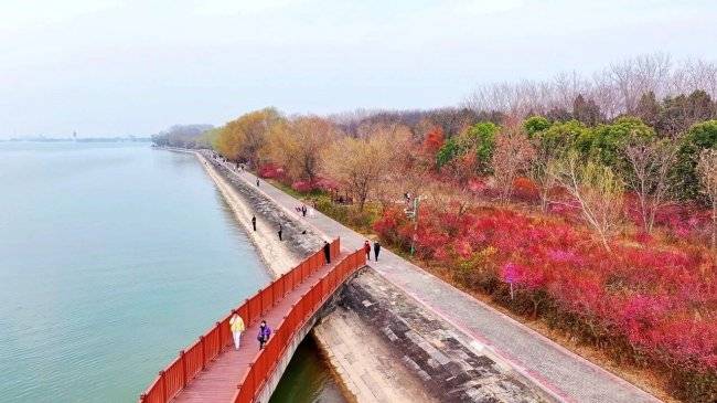 淮安市洪泽区2026年春季游线攻略(图1)