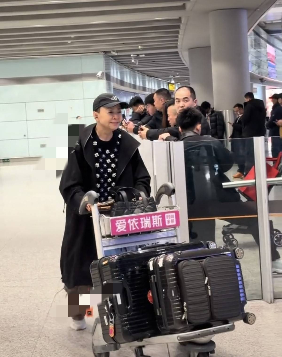 被两孙子接机开心到跳起来儿媳博古赢麻了