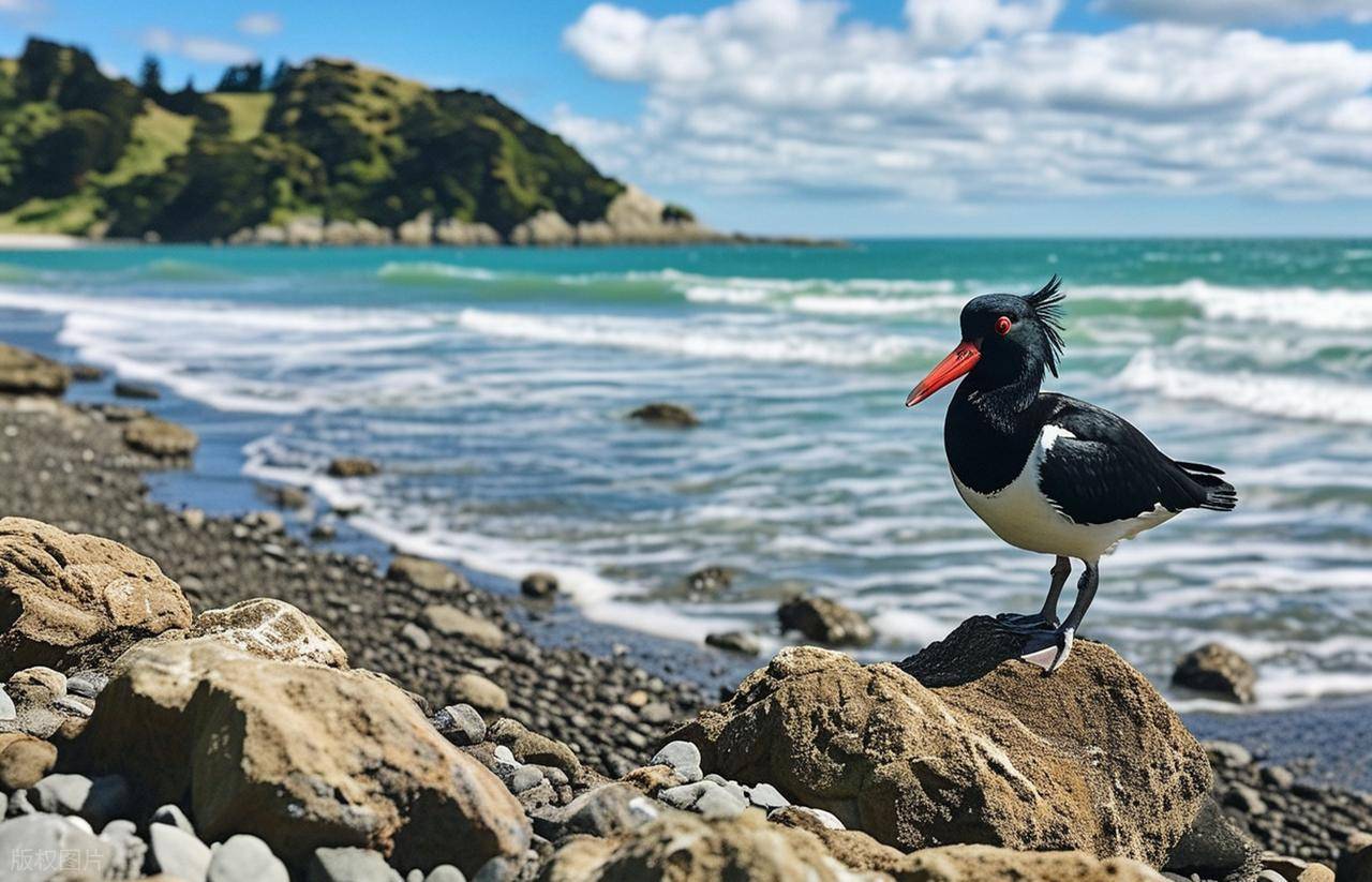 图片[2]-考虑安全？推荐这三个移民国家！-华闻时空