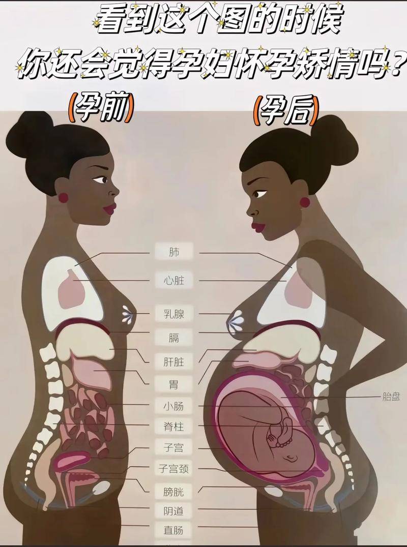 怀孕后内脏被挤压会有什么症状?一文读懂伟大的妈妈
