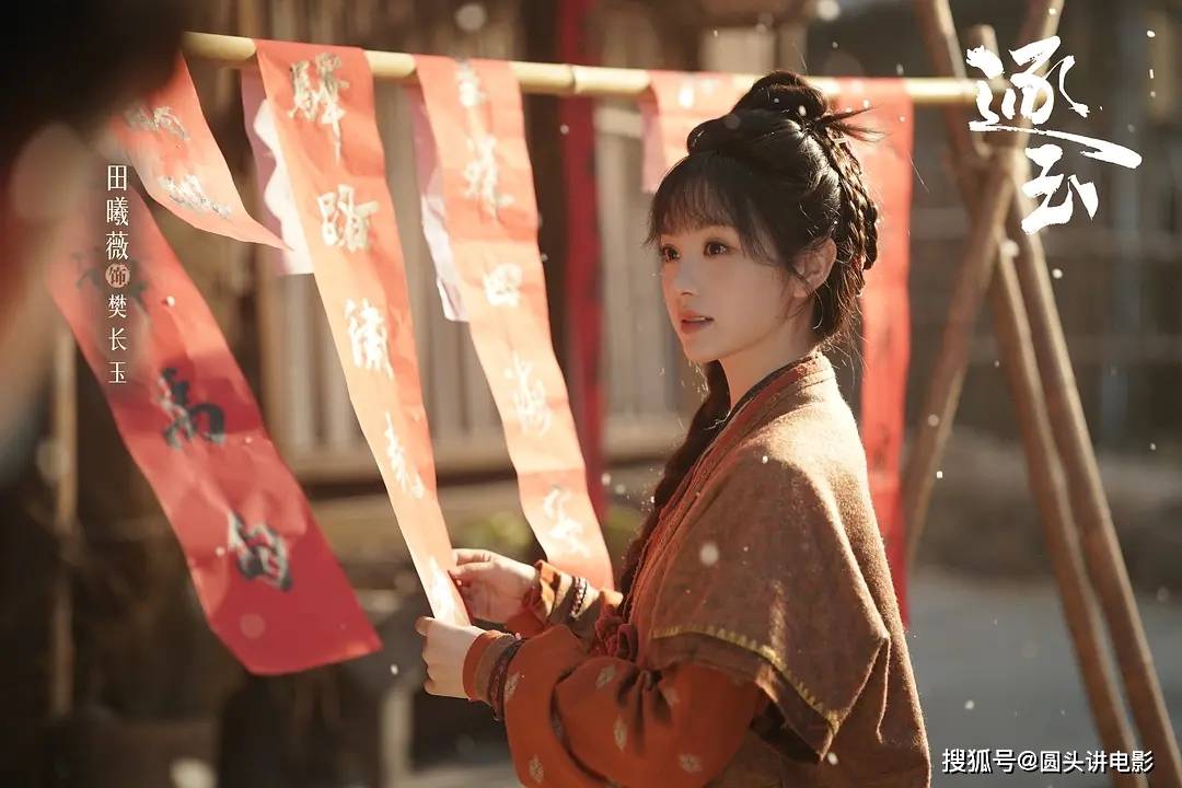 近期评分最高的五部电视剧,《逐玉》 排在最后,你追过哪几部?