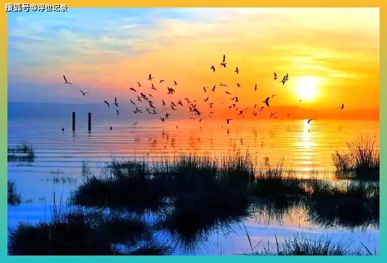 明斯特湖畔自行车道，湖水清澈，树木环绕，骑行的人悠闲自在，阳光温柔