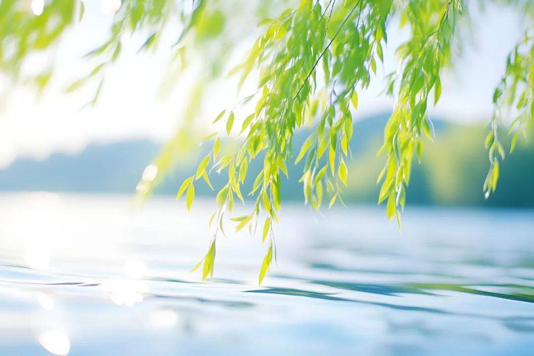 文章配图-2