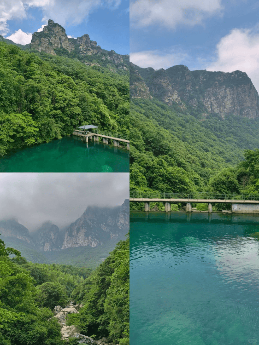 bc1087ba-3627-4f83-88ac-e12d2dd413a8.png