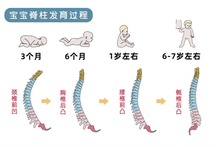 六个月宝宝睡觉需要枕头吗？
