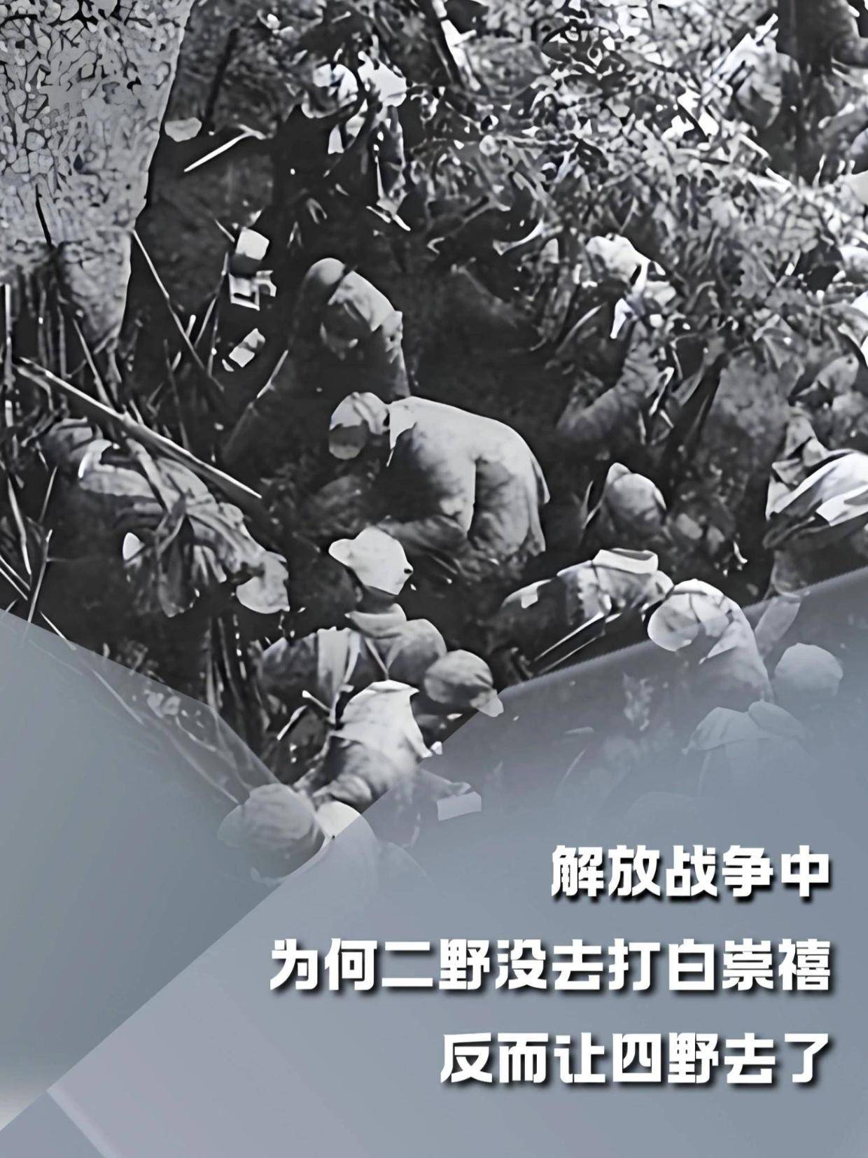 解放战争中，为何二野没去打白崇禧，反而让四野去了#内容启发搜索#军事爱好者#军事科普#人文星闪耀计划(2)
