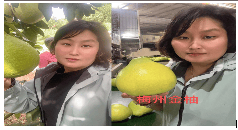 43aa39a963fcf6dce565c0da54c2f836.png