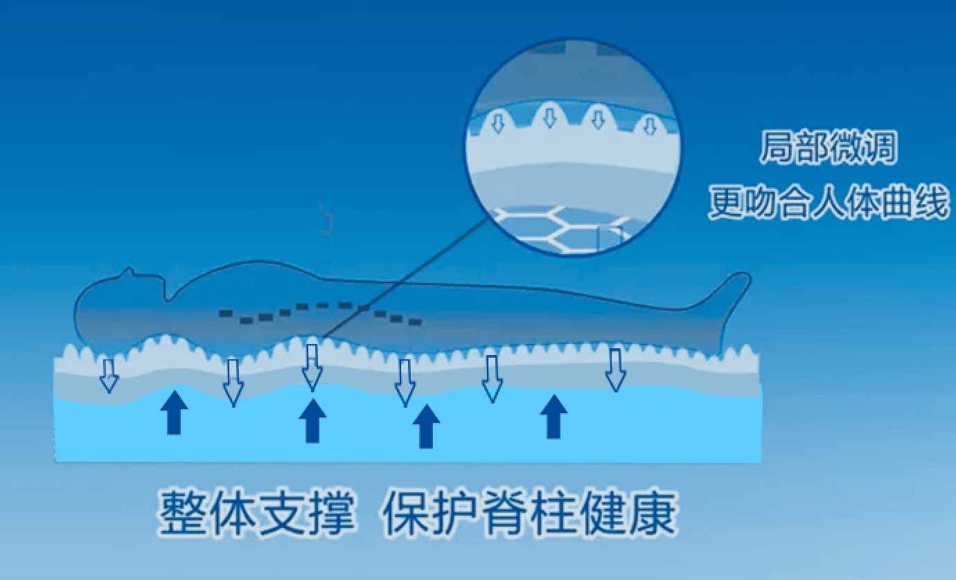 9ed34504-657c-4475-ba32-6c49c8ddd2a8.png