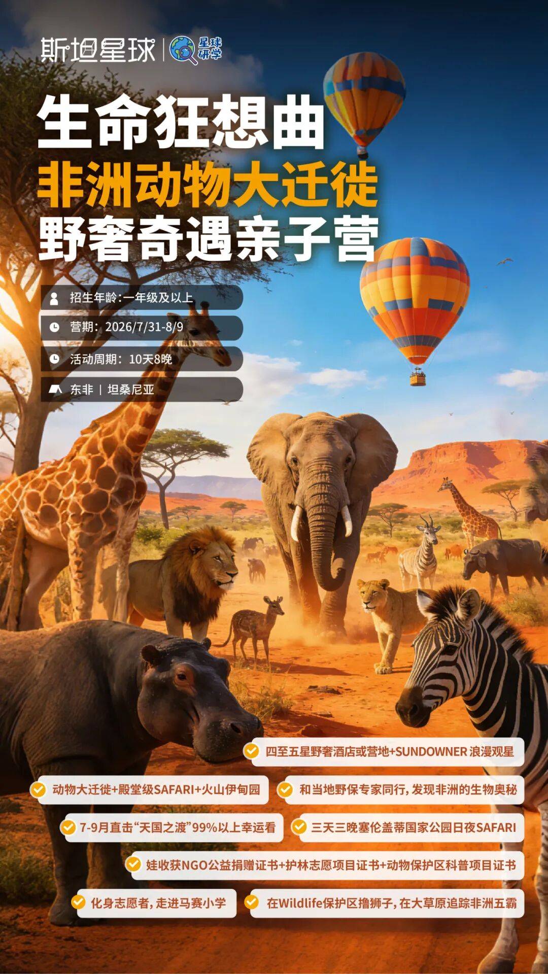 文章配图-3