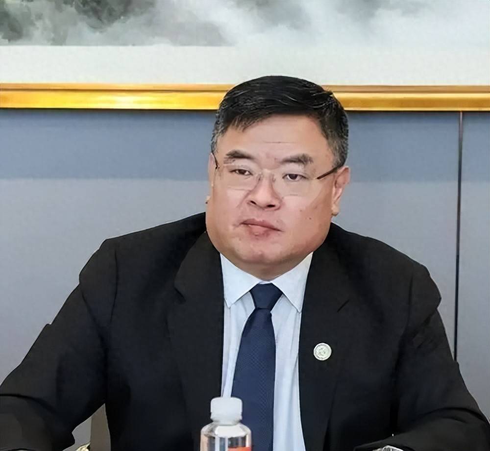 盈科创始人梅向荣及家族接连限高 家族企业债务风险持续发酵(图1) 文章配图-1